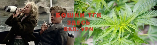 spice Алексин