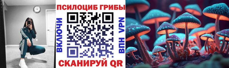 блэк спрут маркетплейс  купить   Черноголовка  Псилоцибиновые грибы Magic Shrooms 